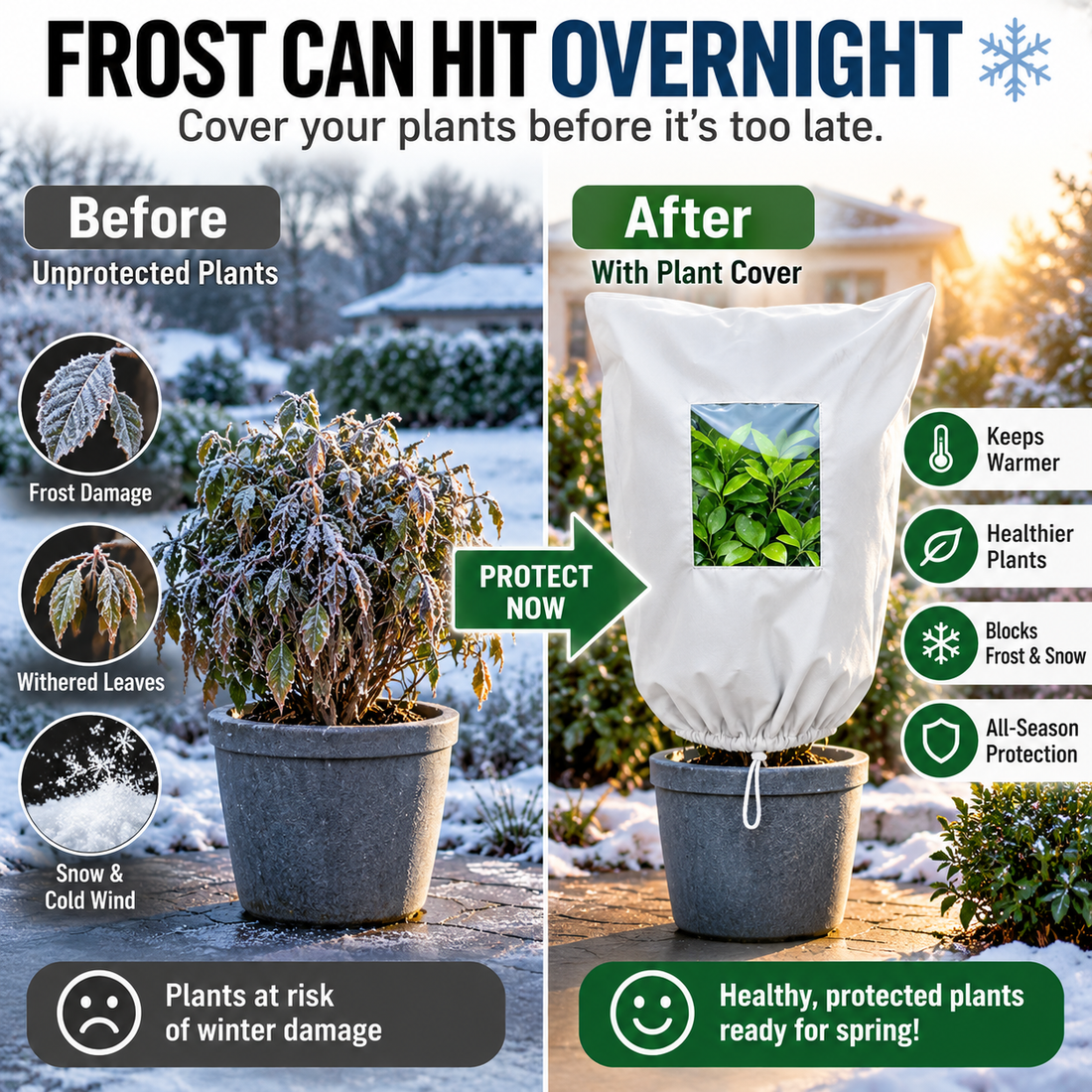 Reusable frost cover protecting garden plants